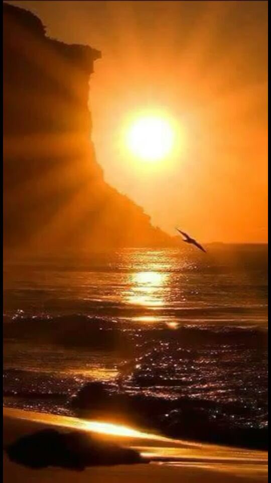 Lo más bello de la vida es no tener que pedir permiso a nadie para hacer lo que se te antoja.