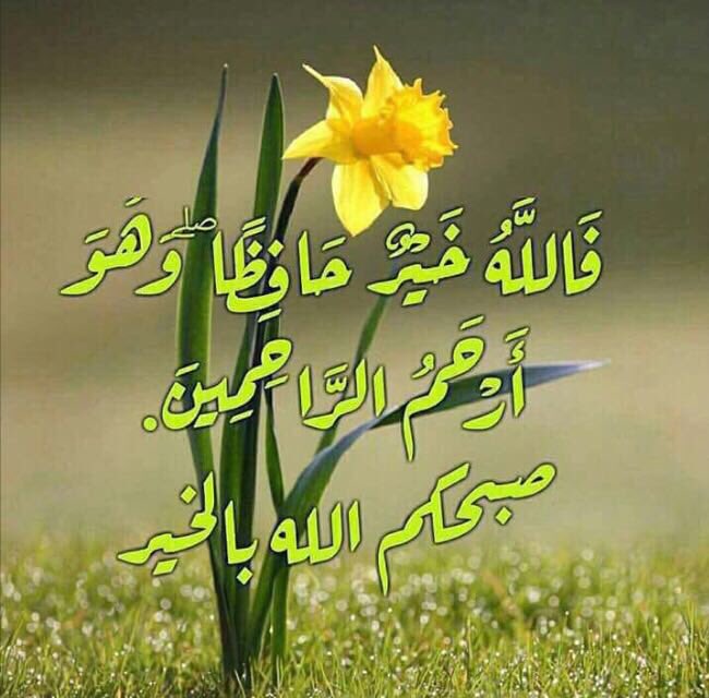 spa.gov.sa/viewstory.php?… مرحبا بزراعة الكاجو في مركز الأبحاث الزراعية بمنطقة جازان والله يتمم بنجاح التجربة