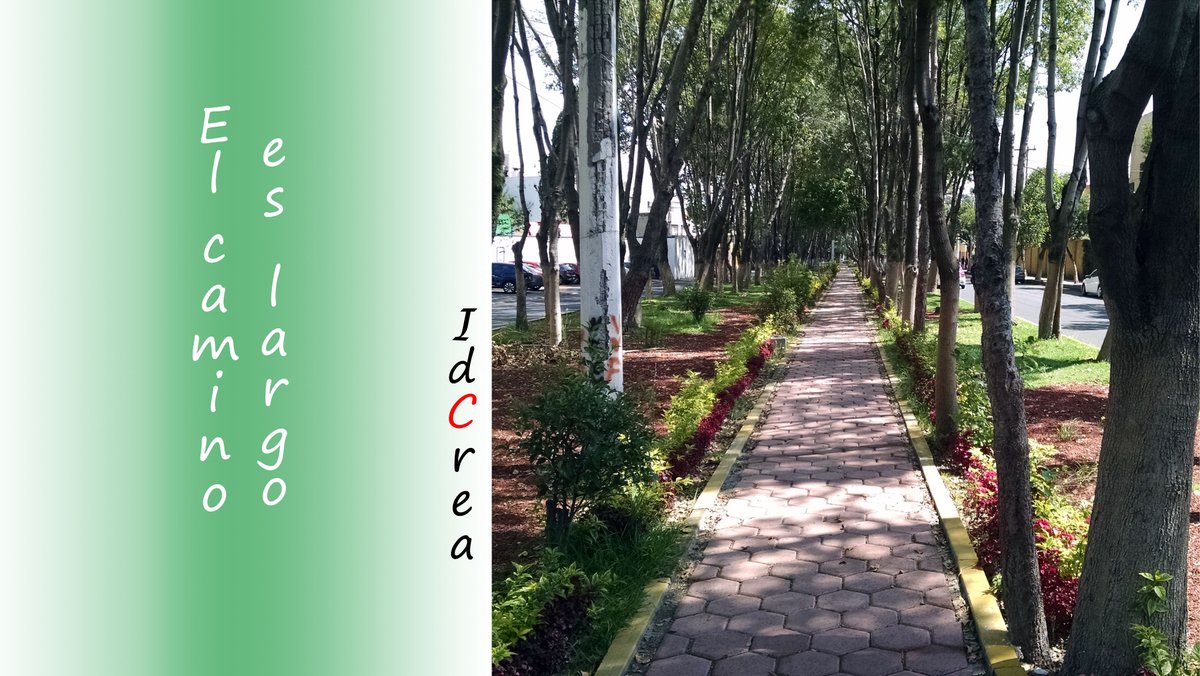 El camino es largo y agotador, así que aprende a #disfrutarlo 

#idcrea