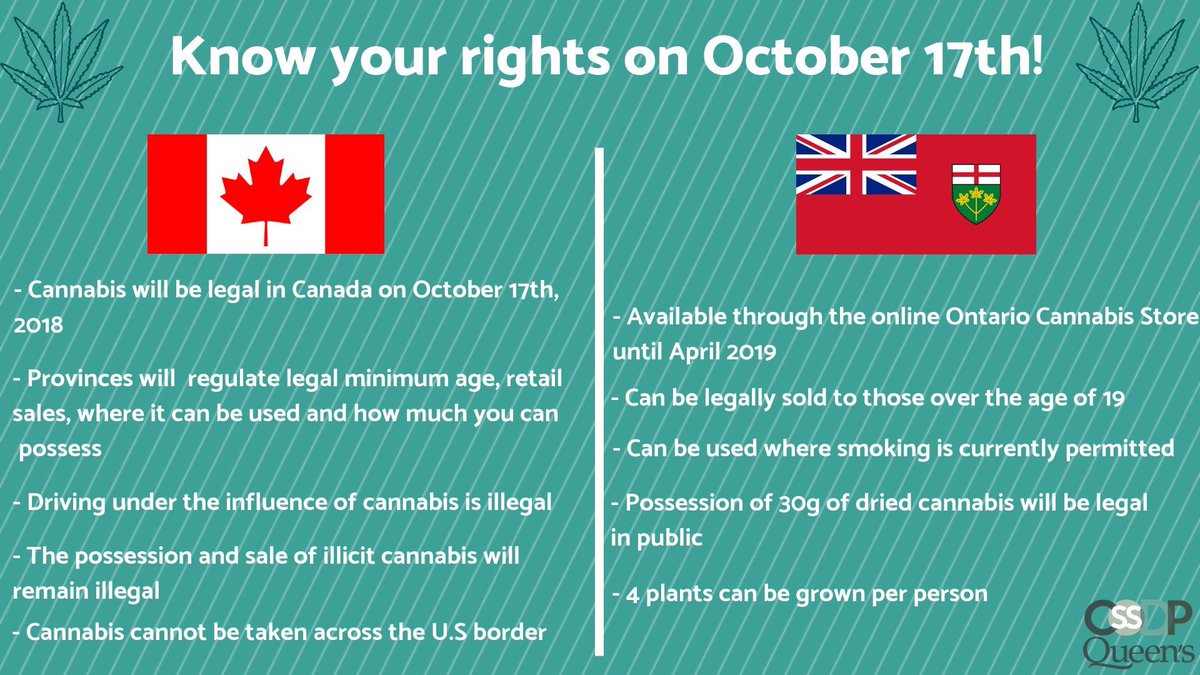 CSSDP Queen’s tweet media