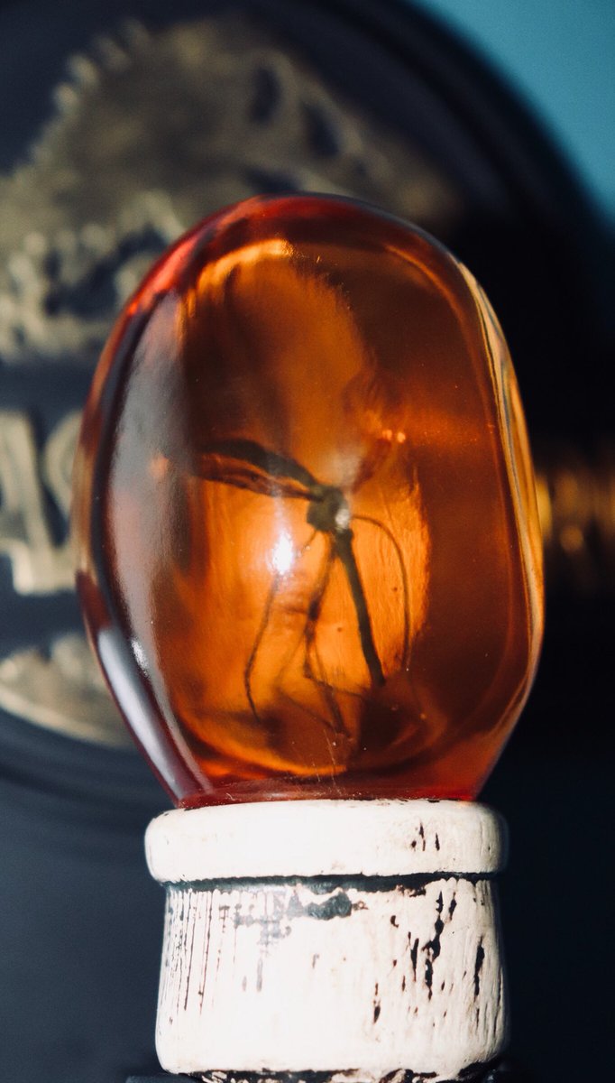 Jurassic_World_Fandom tweet media