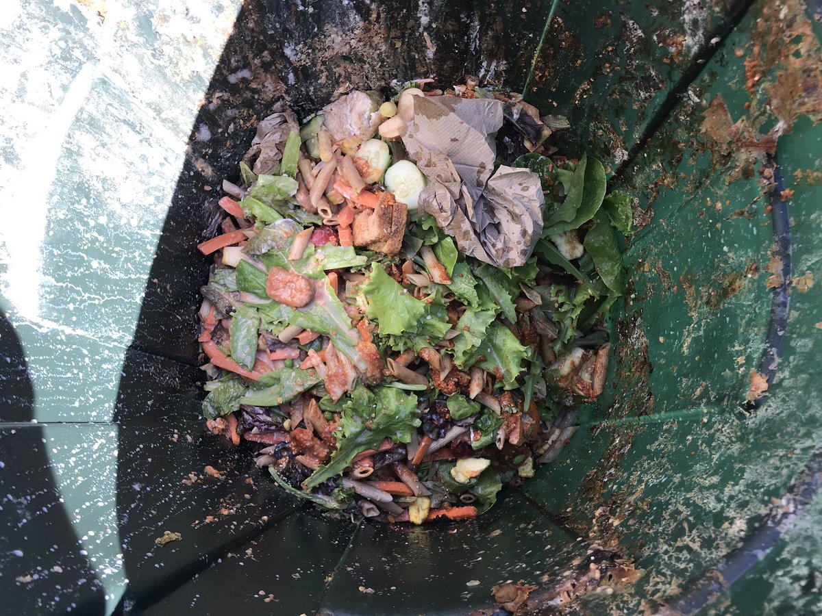 GoldinMath's tweet image. 180 students and 50 staff members weekly food waste data that we collected over four years.We use data for graphing and averages over populations. Any outside/inside the box advice how to further apply this learning through 5/6 math? #Mathematics #MTBoS #LUmathmethods #ITeachMath