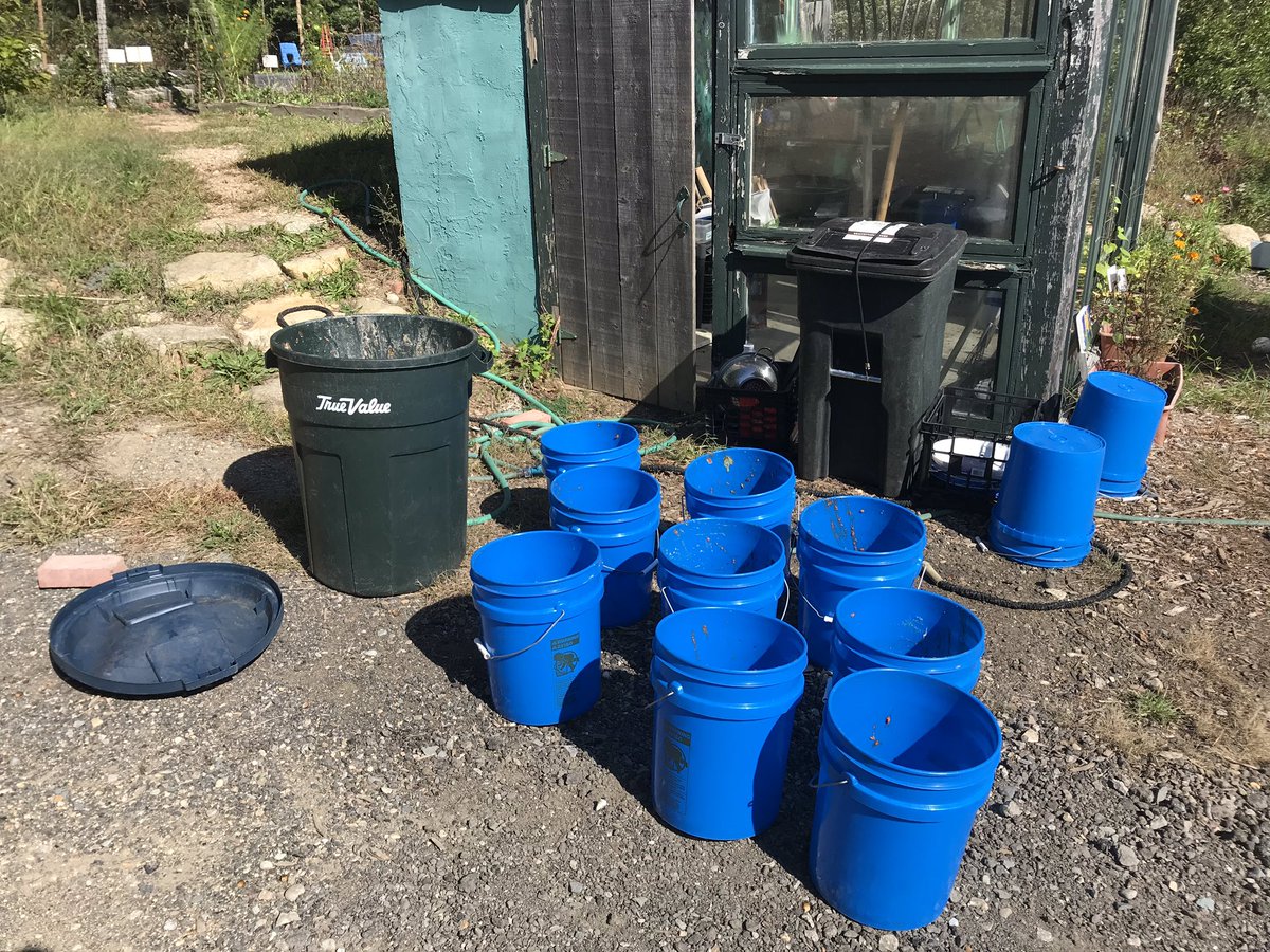 GoldinMath's tweet image. 180 students and 50 staff members weekly food waste data that we collected over four years.We use data for graphing and averages over populations. Any outside/inside the box advice how to further apply this learning through 5/6 math? #Mathematics #MTBoS #LUmathmethods #ITeachMath