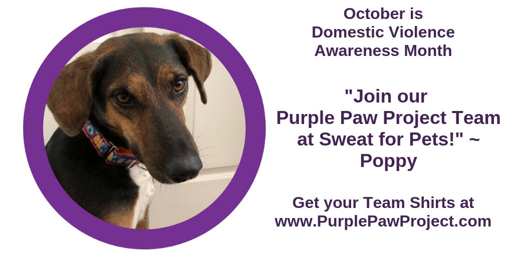 Prototypes3's tweet image. Domestic Violence Awareness Month.  #SweatforPets #StoptheCycle #PurplePawProject