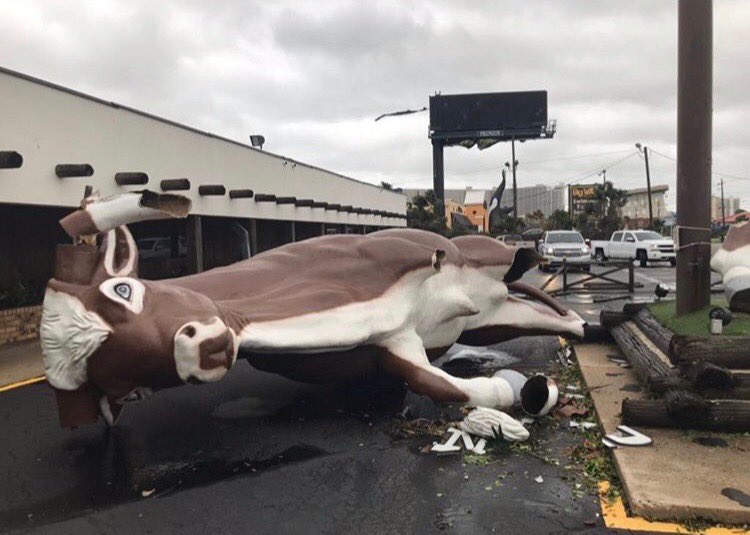 EricShepard1's tweet photo. Anyone who has been to Panama City Beach might recognize this. #PanamaCityBeach #HurricaneMichael https://t.co/B9chL0Kks9