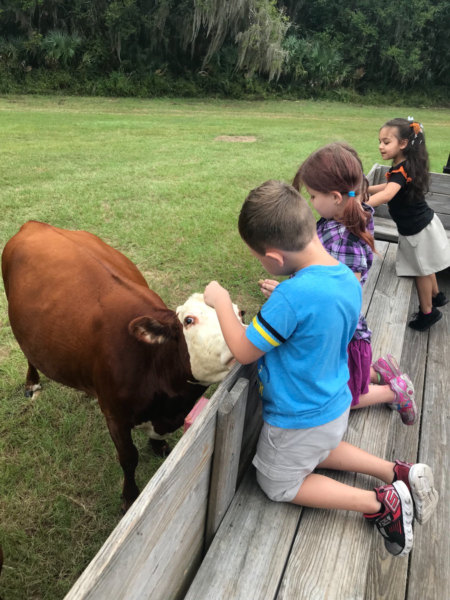 PaigeLemily's tweet photo. Field trip fun with my kinders! @mcpsevergreen https://t.co/7idt9HcVFy