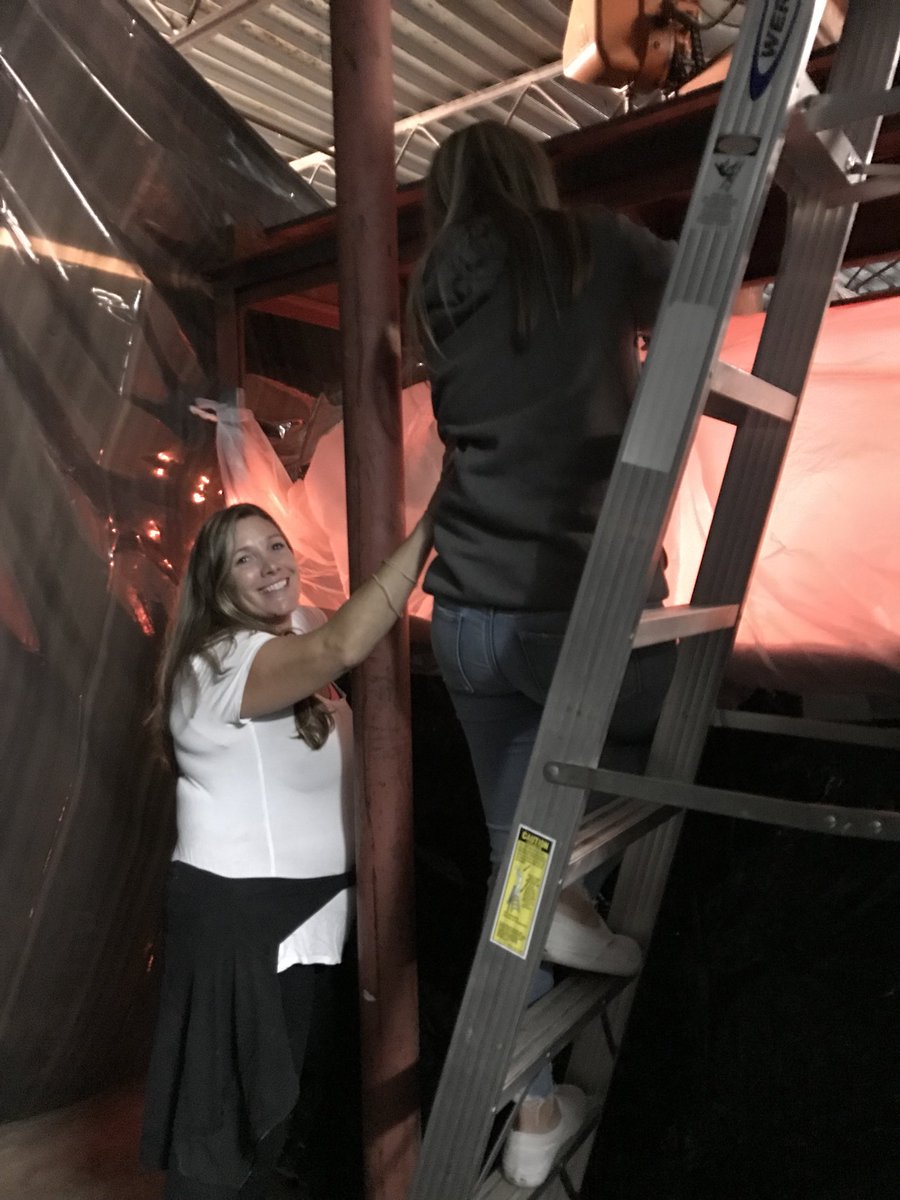 LRProjectGrad19 tweet media