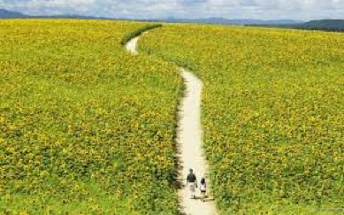 dehonbrasil's tweet photo. BRE: Reflexão XXVIII Domingo do Tempo Comum – “Mc 10,17-30: Vida eterna: herança ou prêmio?” https://t.co/nDo4n8Etct https://t.co/DLgOgMnjsN