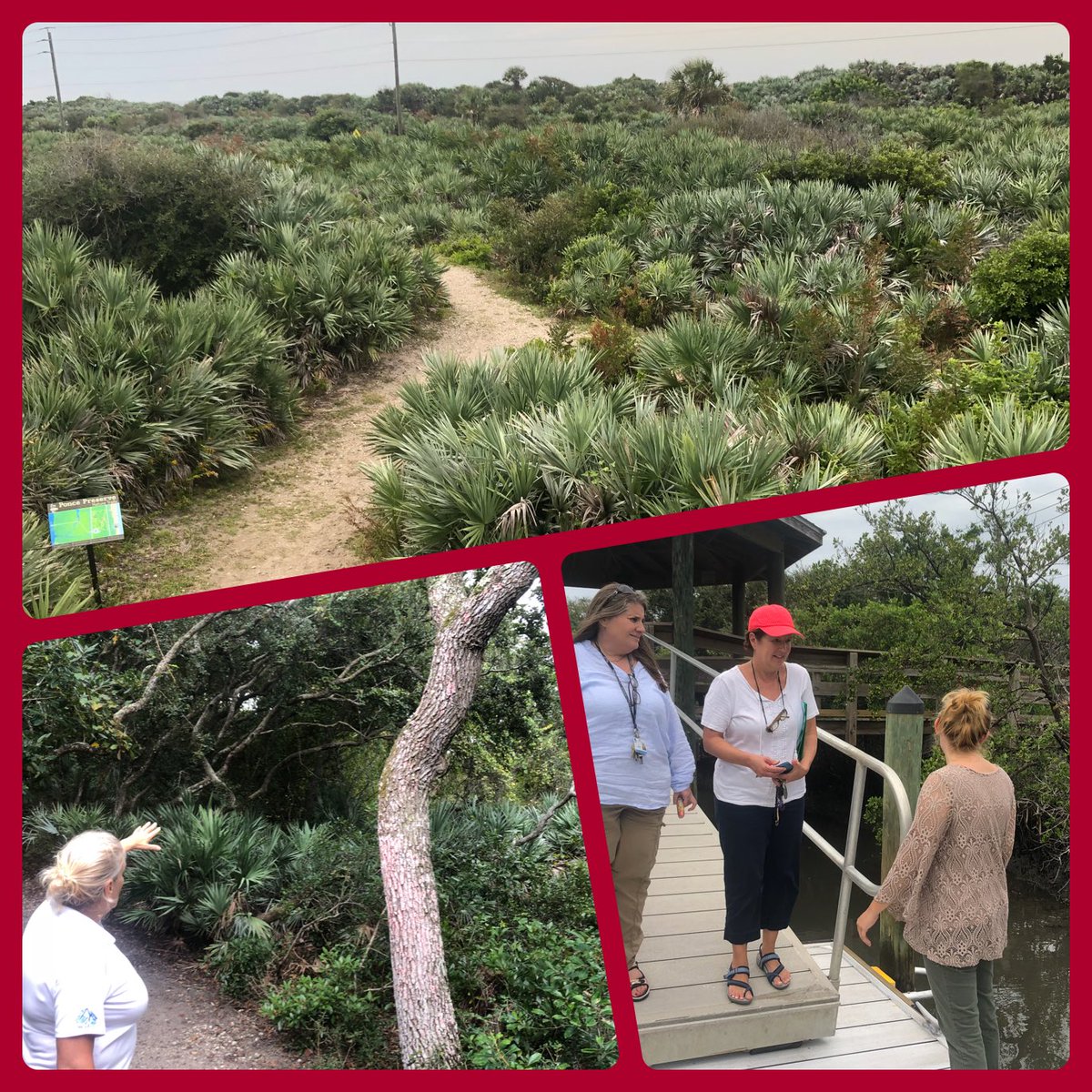 auspies's tweet photo. Dedicated 4th grade team @rjlCardinals spending afternoon planning & previewing upcoming integrated #STEAM field trip #PoncePreserve & lighthouse to make connections btwn #Timucuans & our school’s namesake! Thanks to Mary @PonceLighthouse & Shell @ PI Marine Science Center! https://t.co/8ROJiSqnrO