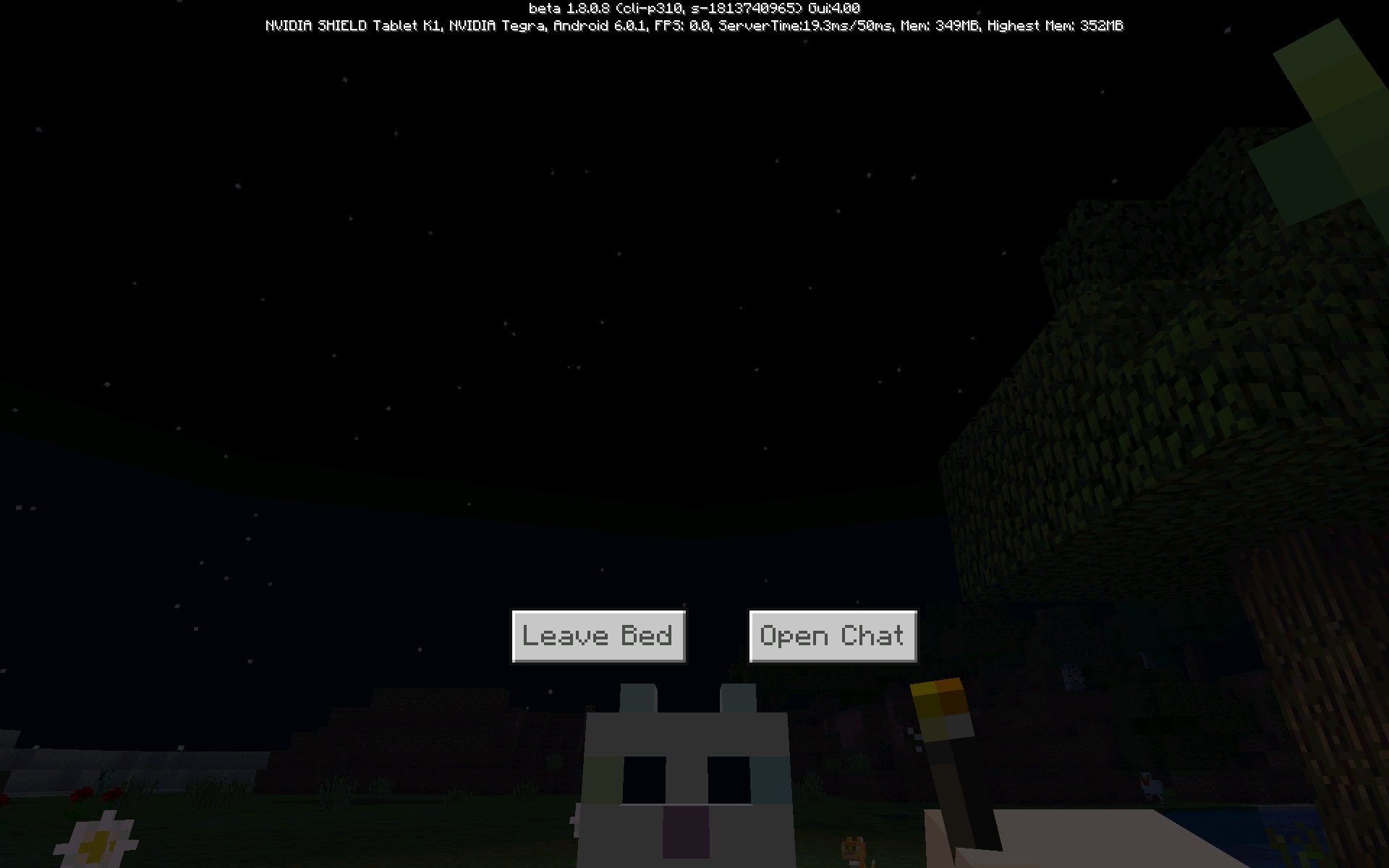 MCPE BETA 1.9 ⛄️ on Twitter "Another secret feature is that Cats now