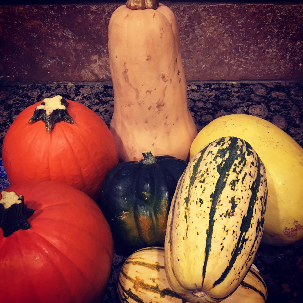 ChefCDoherty's tweet photo. Butternut, pumpkin, acorn, spaghetti, delicata - all these different types of gourds to be made into soup - yum.  #chef #cheflife  #whatsfordinner #squash #privatedinner  #gourds #soup https://t.co/JIo9CxqZDz