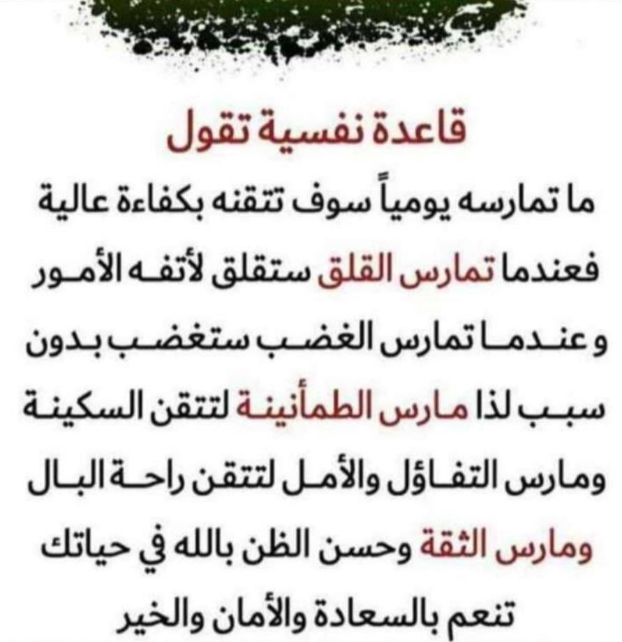 ابوحسام 🌿 tweet media