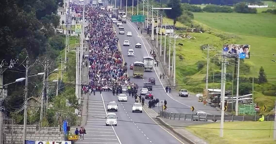 VeroGuevarav's tweet photo. Si la accción para solucionar el grave problema del sector lechero... es mandar a un troll a atacar a un productor. Intentando deslegitimar la lucha. Esto no va por el camino correcto. #LuchayResistencia 
@juradoxb @BancadaRC_ @PABLOJIJON @bernardogye @florcis_paredes @xaguilarv https://t.co/kzl5Ls13U5