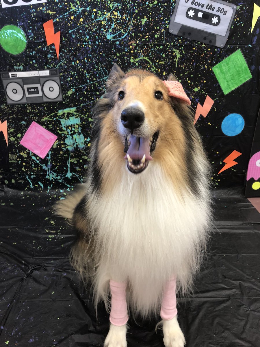 PPRLasColinas's tweet photo. Oh these pups just wanna have fun! https://t.co/IcLfB8wNZ6