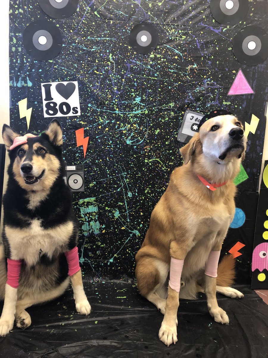 PPRLasColinas's tweet photo. Our pups are rocking some gnarly tube socks &amp; fedoras! 🤘🏼⚡️ https://t.co/fjb1SoRuH3