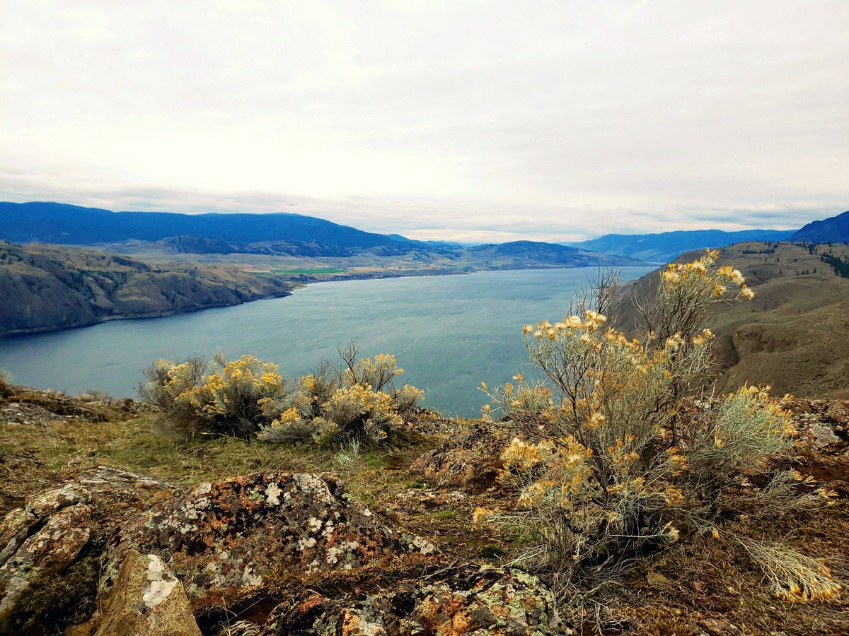 Min_Reyes's tweet photo. Last few pictures of #battlebluff #kamloops #roadtrip #hiking https://t.co/TAltzRr2j9
