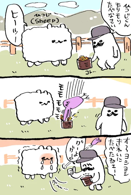 ひつじと害鳥のコーナーです!😢この害鳥は本当に最悪です! 