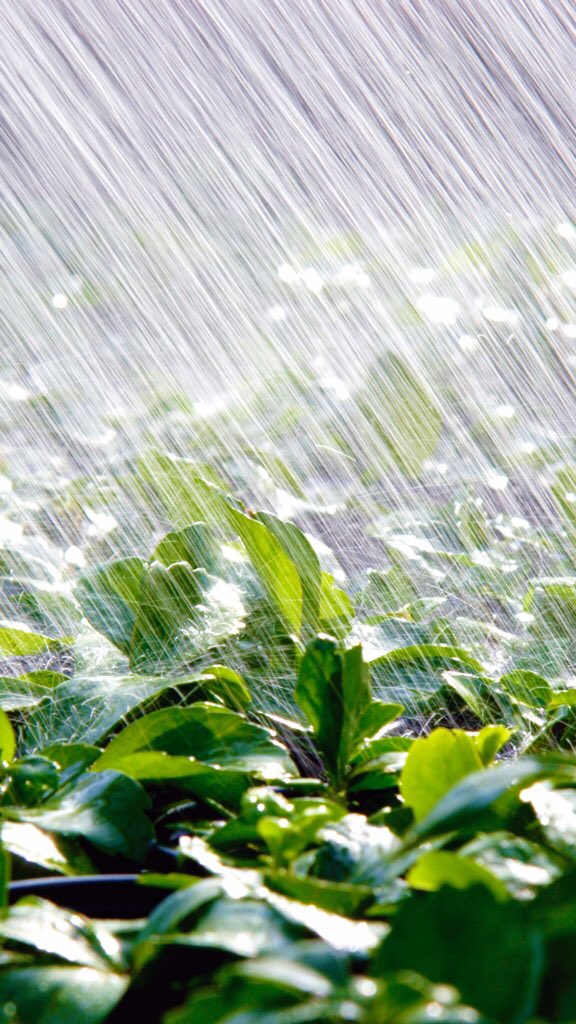 Listening to Extreme Rain Pouring with @WhiteNoiseApp by @TMSOFTwe