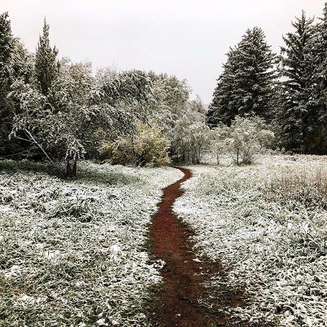 ❄️❄️ Spectacular. First snow run of the season.
#trailrunningviews ift.tt/2C9Zc6f
