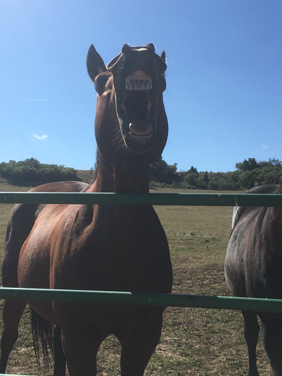 ShortTakes2's tweet image. #MoM! #Bigdeestack