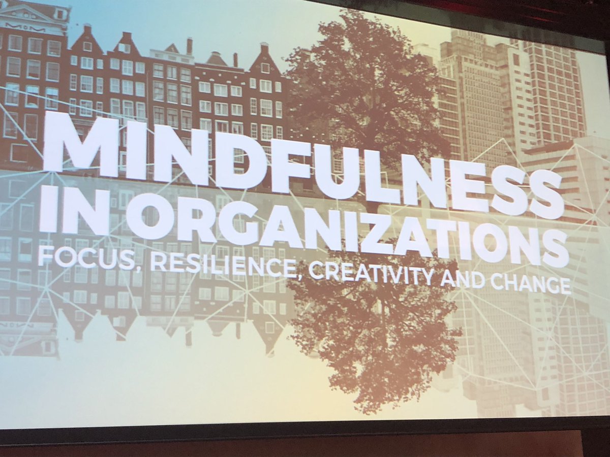 Fantastisch programma, Mindfullness in Organizations #MIO