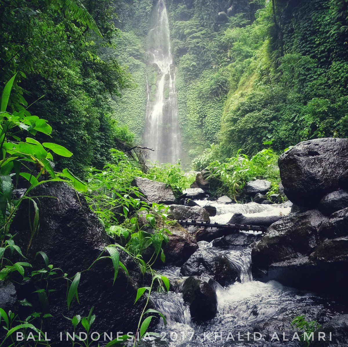 السائح العربي tweet media