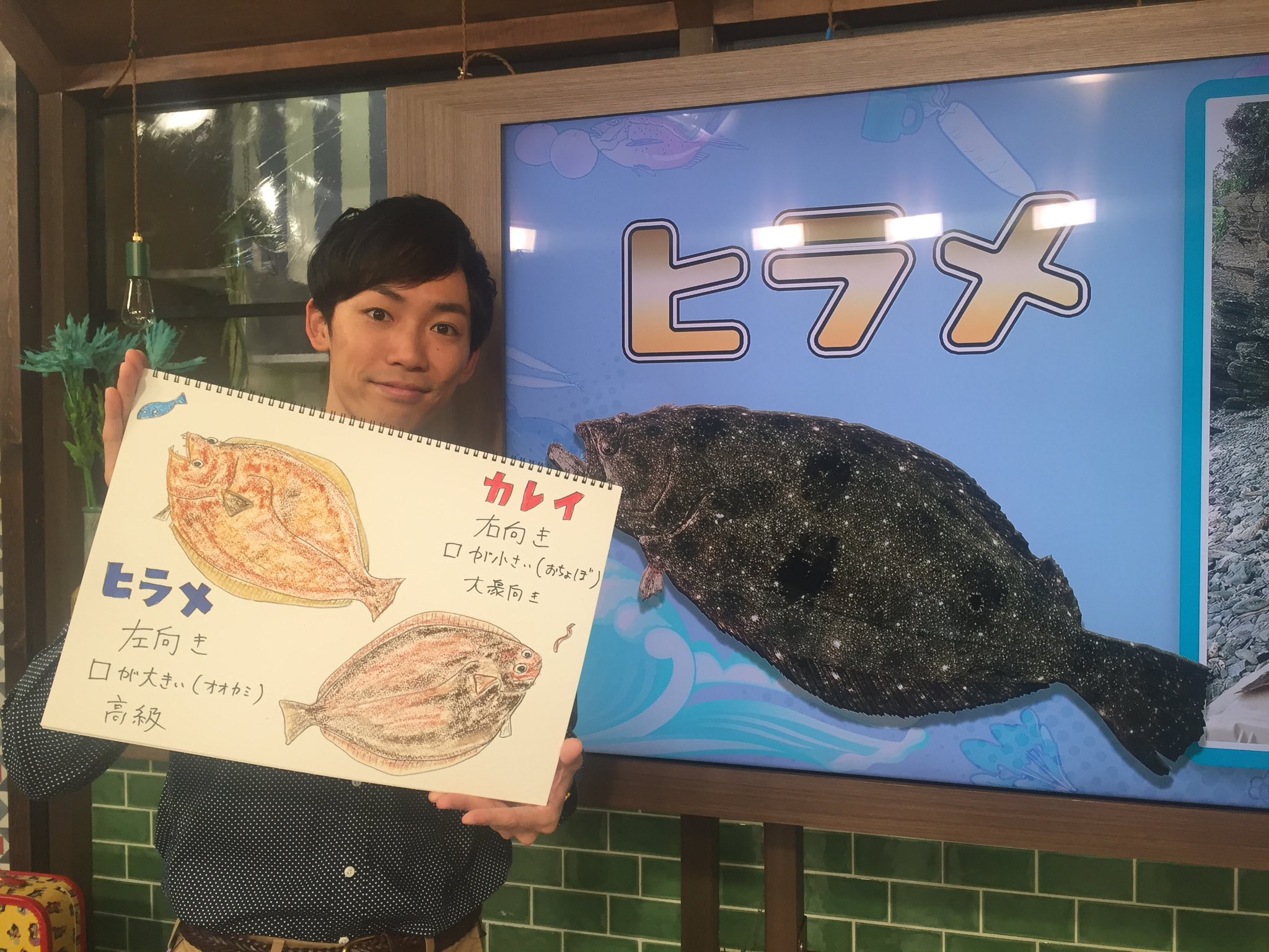 ヒラメとカレイの違い Twitter Search Twitter