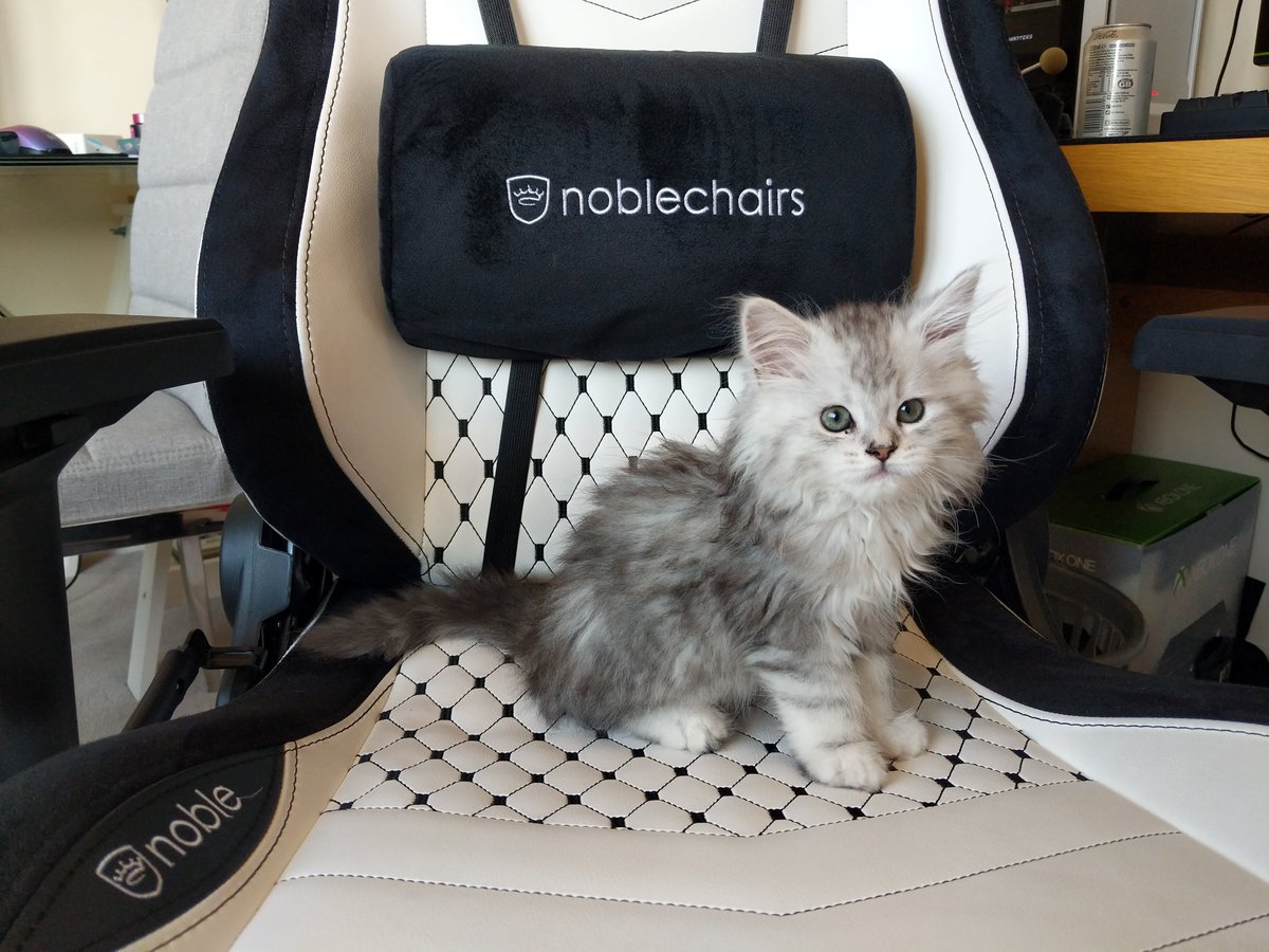 noblechairs photo