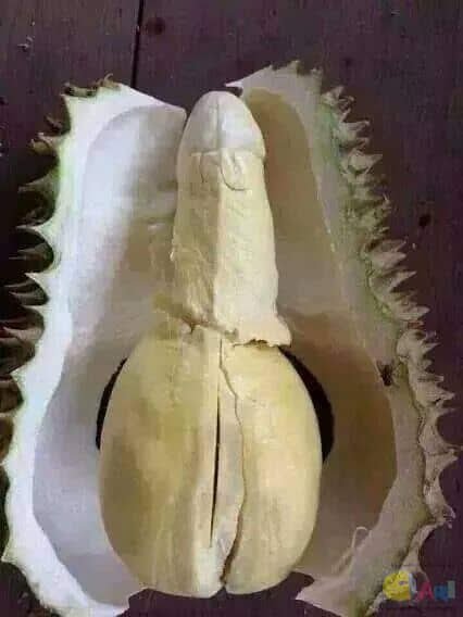 strmesko tweet media