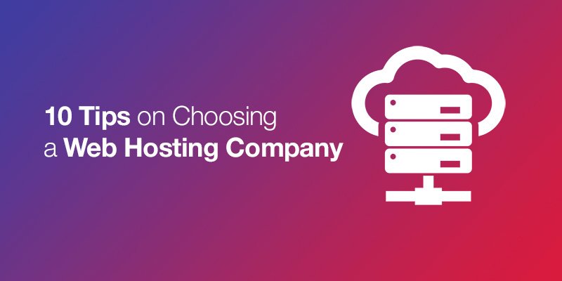 Codester tweet media