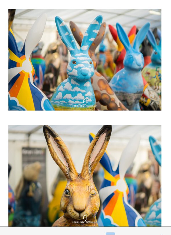 GoGoSafari tweet media