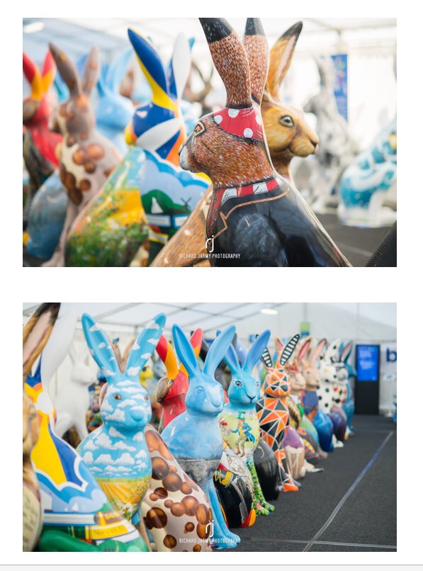 GoGoSafari tweet media