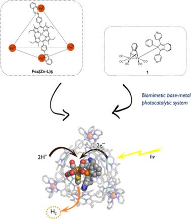 ChemEurJ's tweet photo. An #FeFe #hydrogenase mimic encapsulated in a #metalorganiccage for #photocatalytic #protonreduction @UvA_Amsterdam https://t.co/GdtvVSVVF0 https://t.co/VTF6htz8z1