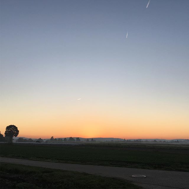mamidenn's tweet photo. #sunrise #nofilter https://t.co/RRNyJ8u0F7 https://t.co/1O1OyNFUYi