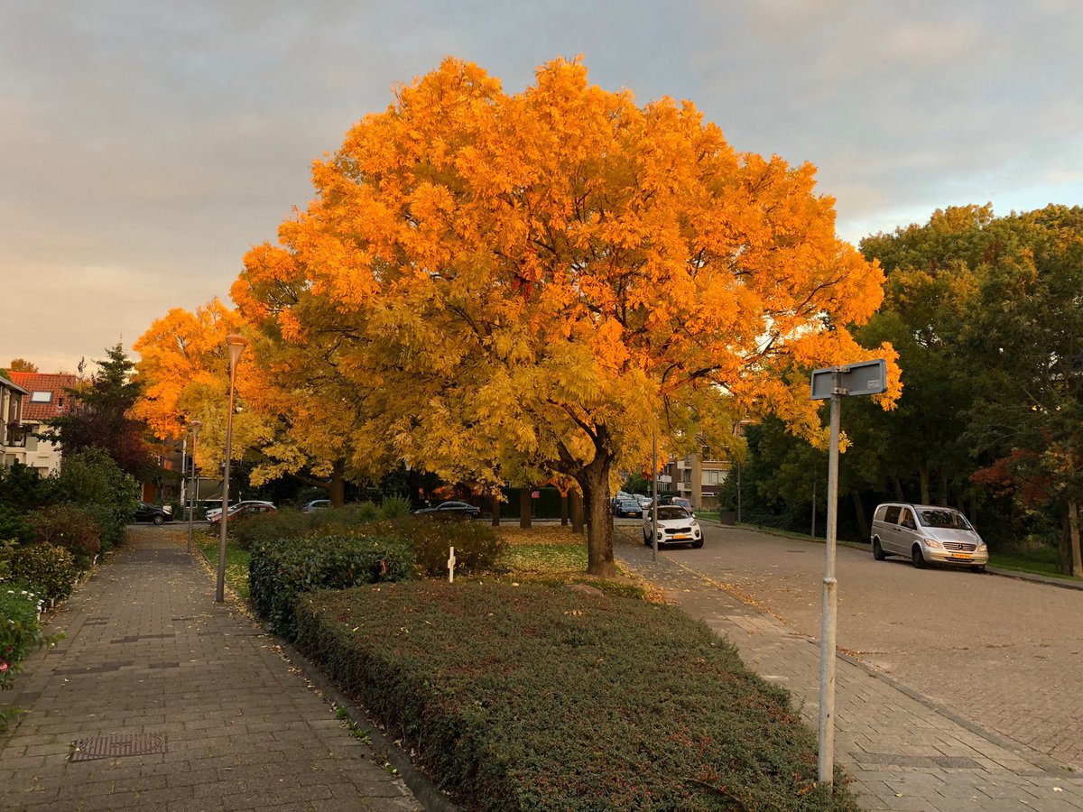 Indian summer in Rotterdam. #herfst