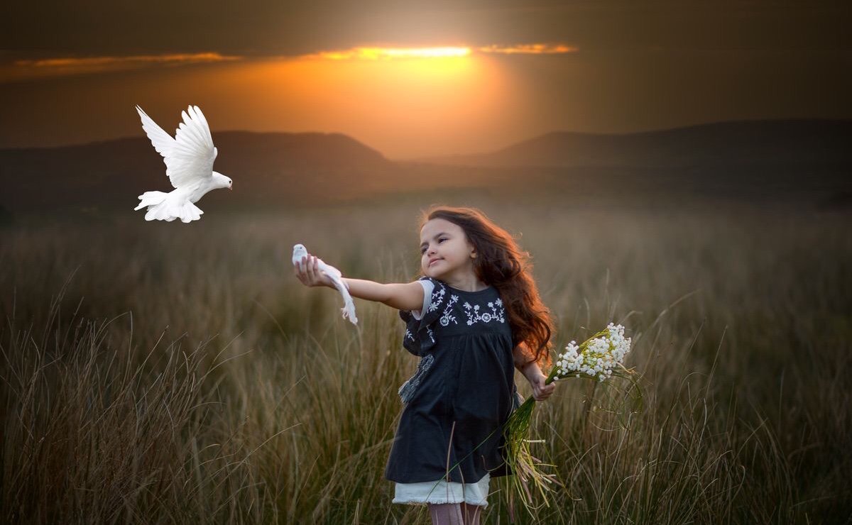 ocilari's tweet image. #TuesdayThoughts 
#constructivethoughts 

Forgiveness is about
not following ..
destructive thoughts.

#beyourwingsforever
#Mindfulness