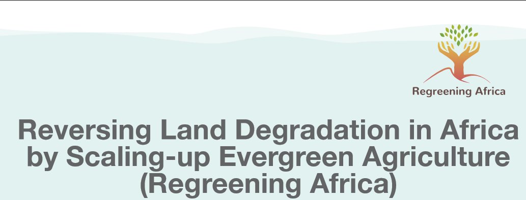 TheLandAlliance's tweet photo. Watch LIVE | Regreening Kenya with Trees: Mapping a Collaborative Approach  https://t.co/78i8u8kuuH
@WorldVisionKE @giz_gmbh @Oxfam @ELD_Initiative @evergreenag @CatholicRelief  #ReGreenAfrica #ReGreenKenya https://t.co/5oMeI7y0kO