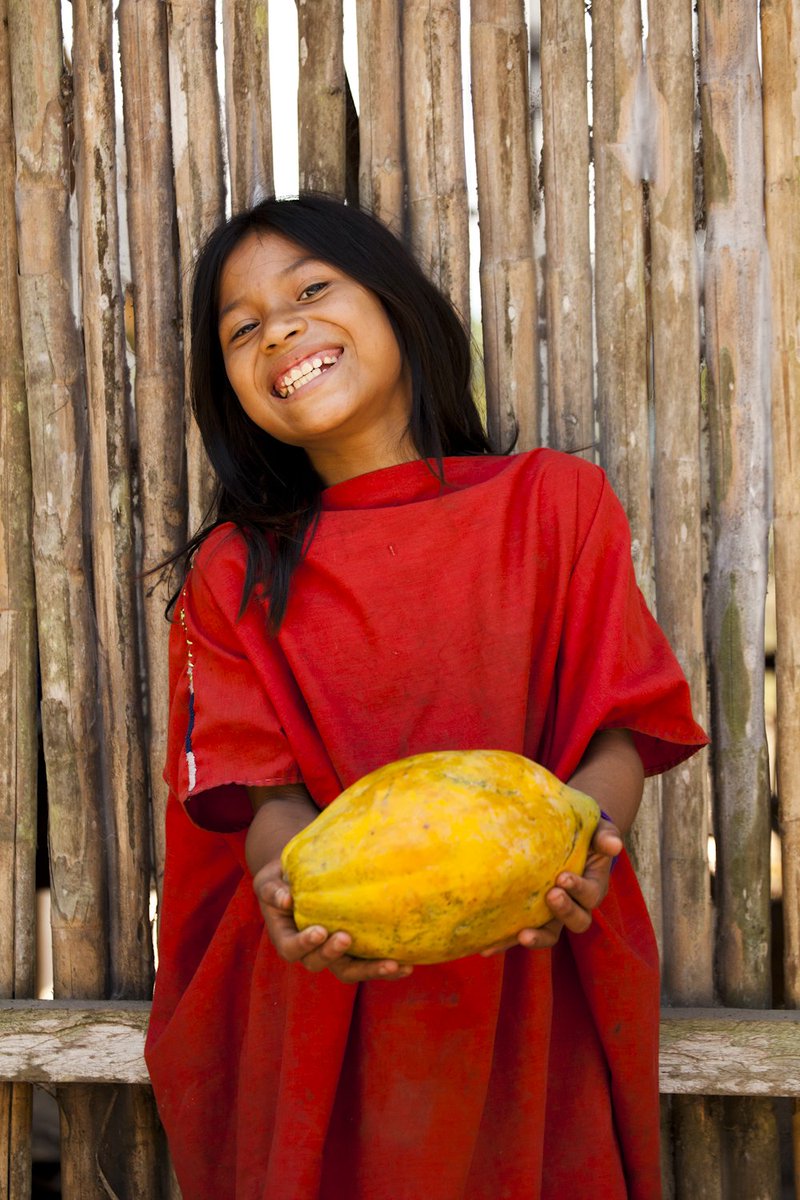 coolearth's tweet photo. We've made it as easy as possible to do something amazing in support of Cool Earth. Follow these steps and host a forest-saving fiesta.
https://t.co/j6JLzwEoVS   
#CoolEarthPollada🇵🇪 https://t.co/vVuV2EfHBu