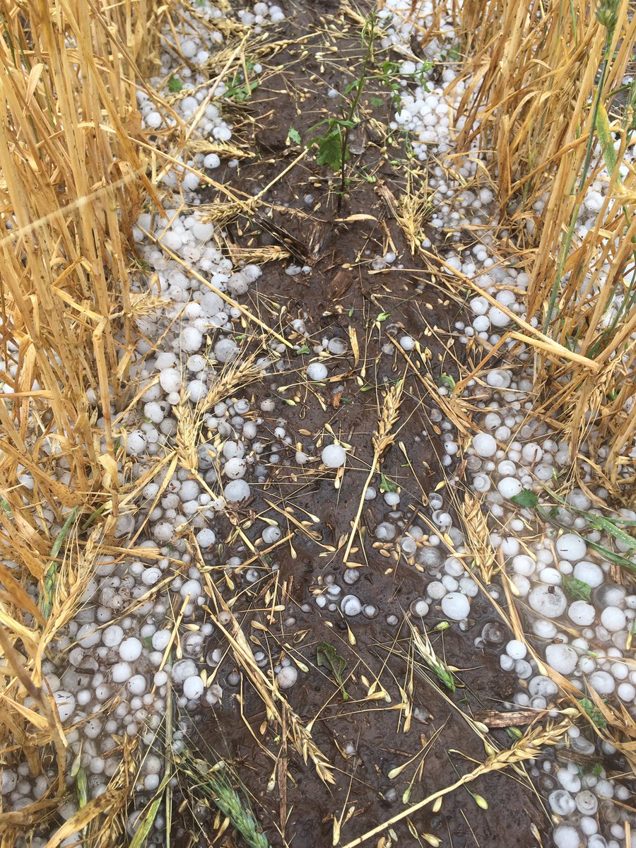 dansweenss's tweet photo. Weather gods not so kind this time at croppa! #rainisgood #hailisnot #thewhitelacedtriangle @mcgregorgourlay https://t.co/bjOmpRJi5M