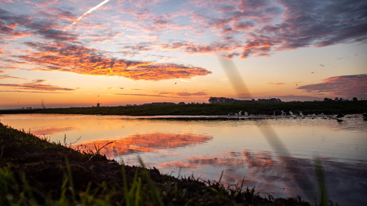 Vanmorgen een kleurenpastel😊

<a href="/BuienRadarNL/">Buienradar</a> <a href="/mrmiddendorp/">Maurice Middendorp</a> <a href="/nicolienkroon/">nicolienkroon</a> <a href="/onwukaa/">Amara Onwuka</a> <a href="/JandeHoop/">Jan de Hoop</a> <a href="/helgavanleur/">Helga van Leur ☀</a>
