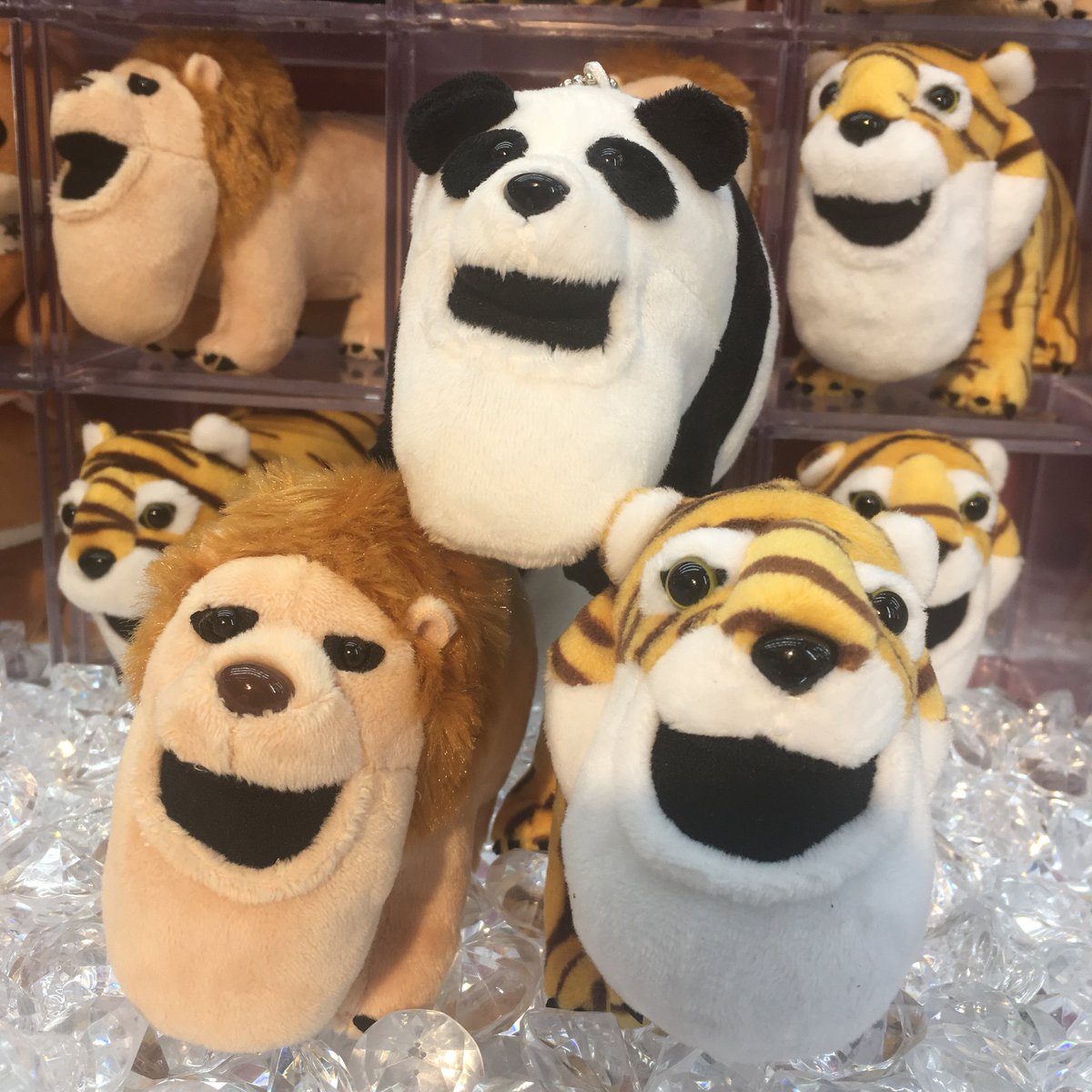 タイトーステーション アミュプラザ鹿児島 大人気 シャクレルプラネット から今度はマスコットが登場 ライオンさん パンダさん トラさん の人気の3種類です マスコットになってもこのしゃくれっぷり ファンにはたまらない出来となっており