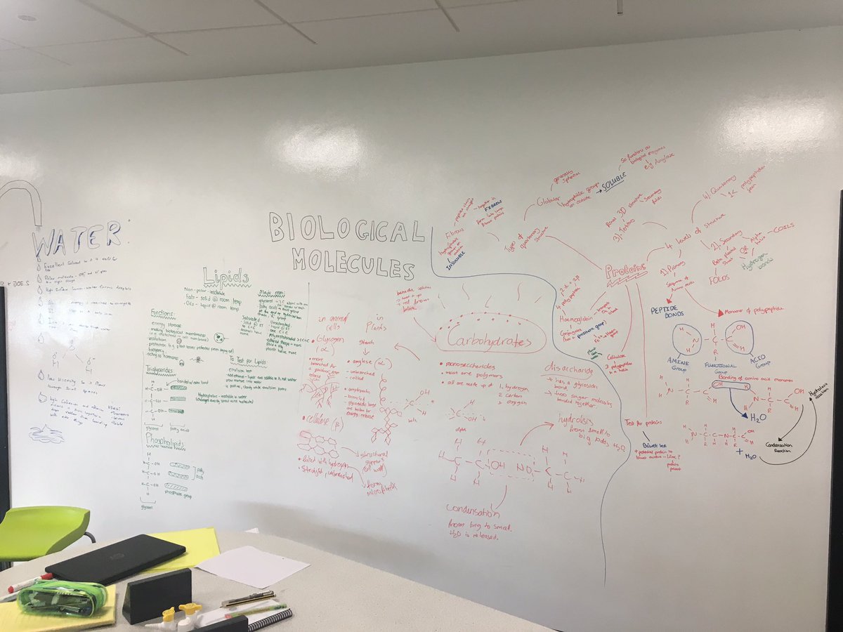 RLSMrWest's tweet image. @TheRoyalLatin @RLSBiology Y12 students using all space available to revise biological molecules #collaboration #LatinLearning