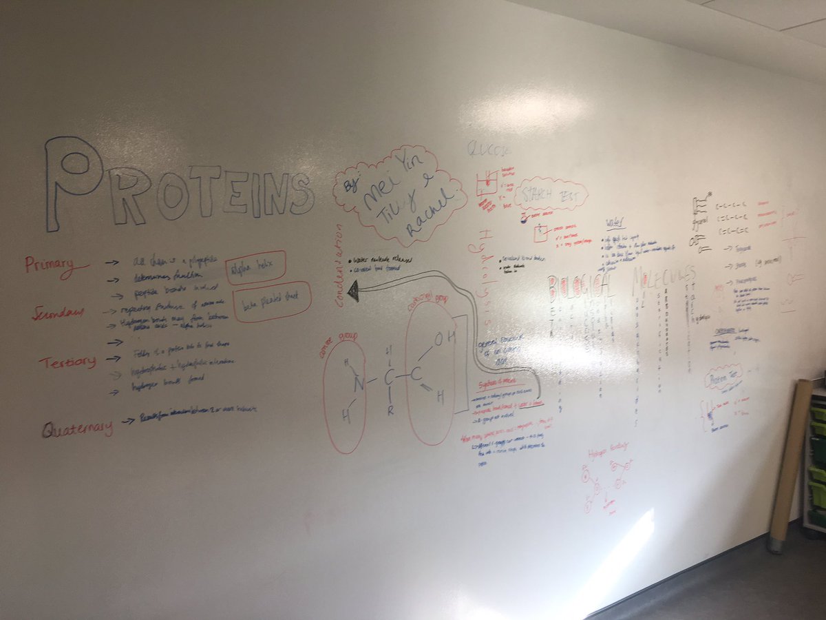 RLSMrWest's tweet image. @TheRoyalLatin @RLSBiology Y12 students using all space available to revise biological molecules #collaboration #LatinLearning