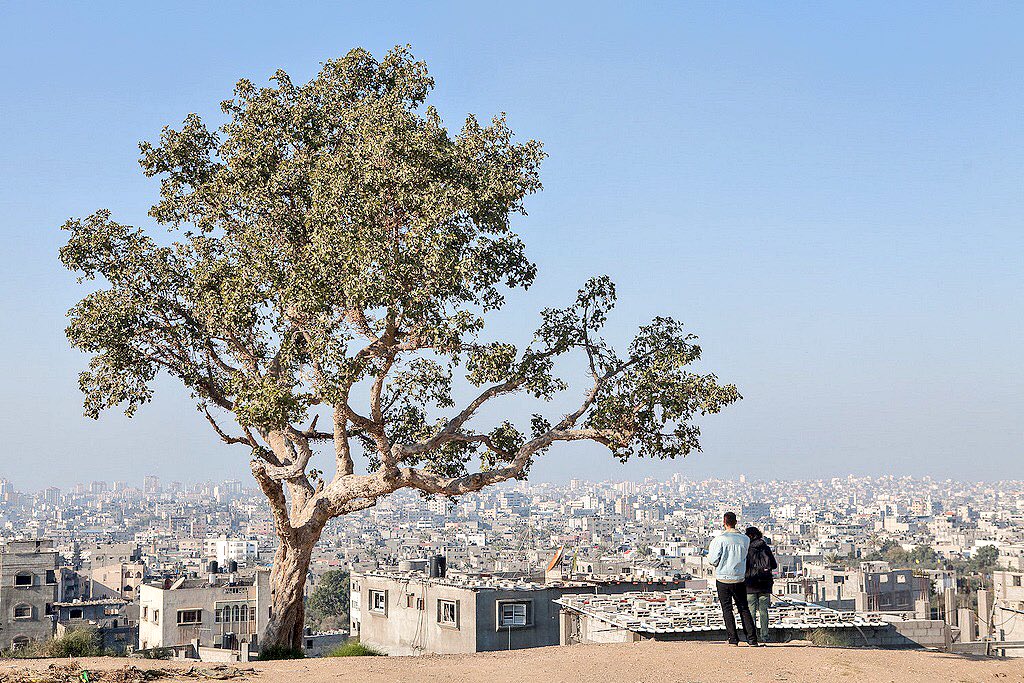 wissam_shabat's tweet photo. Gaza City, Palestine. https://t.co/Mv0rbWnc0q
