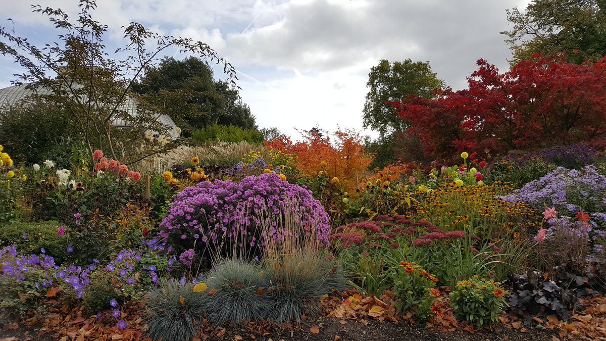 DrEmilyG's tweet photo. Celebrate #WorldMentalHealthDay with a lunchtime walk, #Sheffield botanical gardens are glorious this time of year #Researchwell https://t.co/Cui3a2ttEG