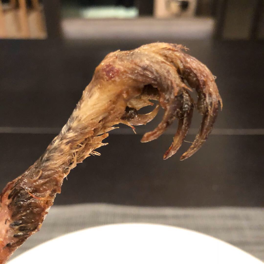 TDigested's tweet photo. That blowfish is stealing my limelight.
#grouse #gibier #blowfish #gamemeat #carpaccio #frenchrestaurant #classicalfrench #restaurantfrancais #menudegustation #degustation #foodblogger #foodblog #foodhunter #theworlddigested
#古典料理 #ジビエ #雷鳥 #グルーズ #とらふぐ https://t.co/CrkC1IO94X
