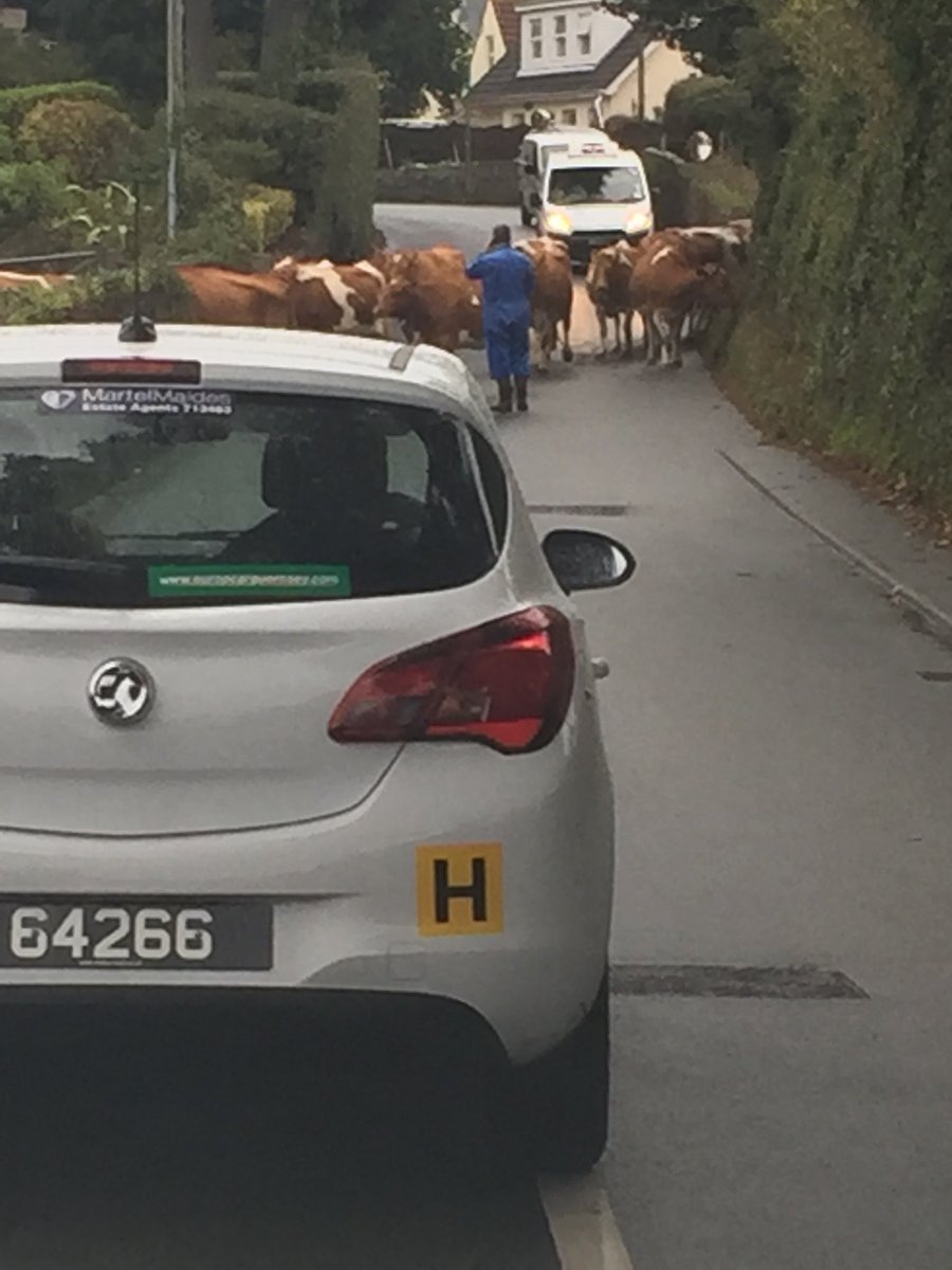 Is this the source of this mornings traffic problems?