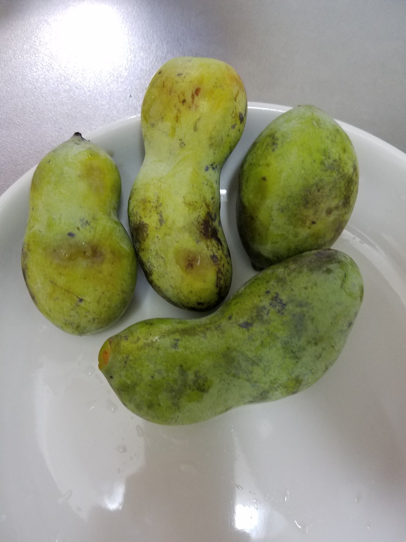 帝 A Twitter この果物 名前はポポー バナナみたいな匂いがする 皮をむく時は焼き芋みたいな触り心地で 中は真っ黄色 何から何まで珍しい どう食べたらいいか分からなかったので試しにヨーグルトにした 濃厚な味わい 世界は広い T Co Rl4abgebhu
