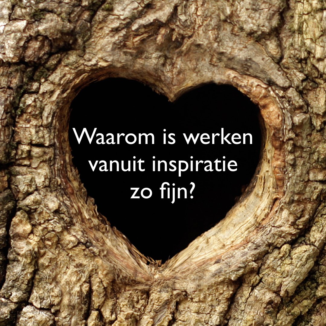 ‘Van inspiratie naar realisatie’ is de rode draad van onze ontwikkelprogramma’s. In het najaar starten we met 'Xperiment 8.0' en 'Werken vanuit je talent'. Wil je hier meer over weten? Loop eens langs bij de Droom. Wij vertellen je er graag over.