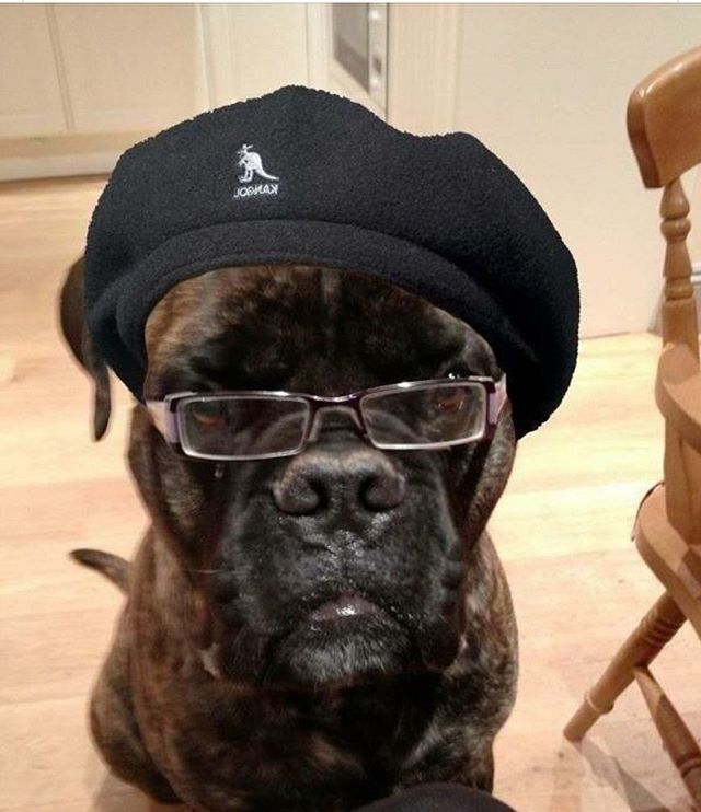 Now that’s a good mother fucking boy. ift.tt/2A4LiRH